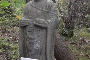 Some are in better condition than others