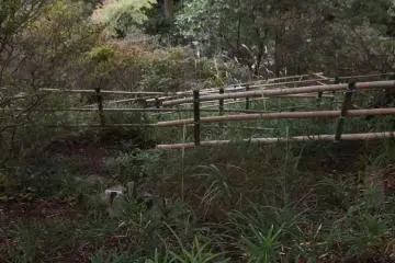 A view back down the slope