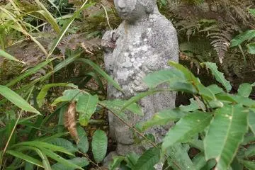 When I visited, the hill was pretty overgrown