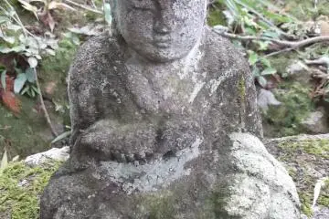 Lichens have been growing on the statues for hundreds of years