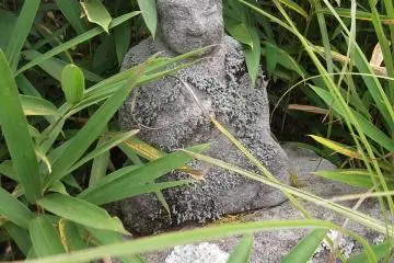 Another lichen-coated statue
