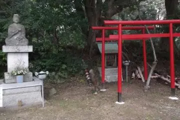 I reached the top!
