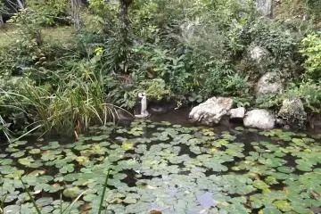 The pond at the main part of the temple