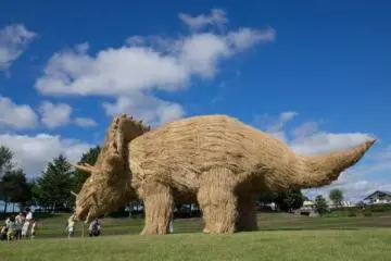 Triceratops (Photo: <a href="http://twitter.com/agedashi0210/status/637553822223589377" target="_blank" rel="noreferrer noopener nofollow">agedashi0210</a>)