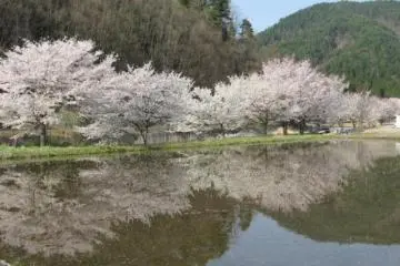 On the way to Ankoku-ji