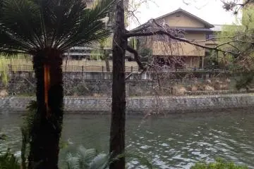 <p>La rivi&egrave;re</p>