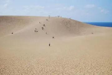 A Grain of Film History: Tottori Sand Dunes