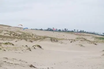 Paragliding is a popular activity in the dunes