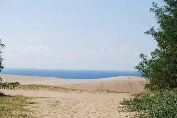 At the edge of the dunes some green is sprouding