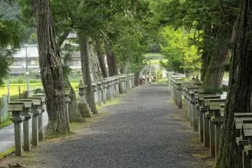 <p>The stone lantern-lined path of Mii Shrine</p>
