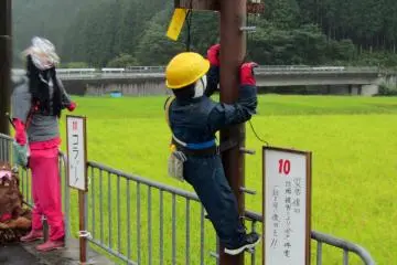 <p>Many do a great job imitating real life</p>