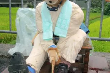 <p>The maker of this scare crow is a mechanic and the owner of a garage. He was kind enough to tell me and my group about the scare crows and take the plastic bag off of this, his scare crow, so that I could photograph it</p>