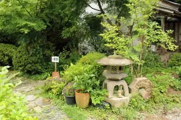 <p>In the garden</p>