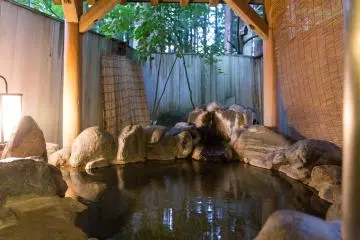 <p>Satu dari dua onsen pribadi Roan</p>