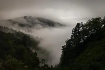 <p>Tur bis White Ring berjalan melewati daerah pedesaan yang sangat indah</p>