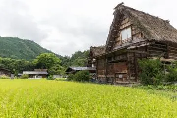 <p>Rumah atap jerami Shirakawago sebagai situs warisan dunia UNESCO</p>
