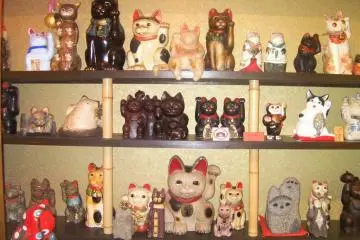 Kitties galore
