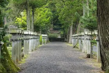 <p>Looking up the omotesando toward the inner shrine</p>
