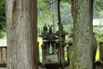 <p>A small shrine altar between two enormous cedar trees</p>