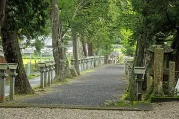 <p>Back down the omotesando</p>