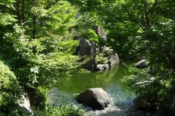 <p>In the summer, the garden is lush and full of shades of green</p>