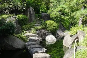 <p>Large koi (carp) often flit among the stones</p>