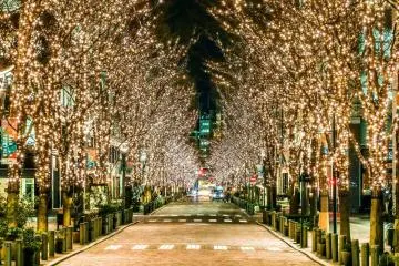 Illuminations on Marunouchi Naka-dori (Photo: Chiyoda Ward Tourism Association)