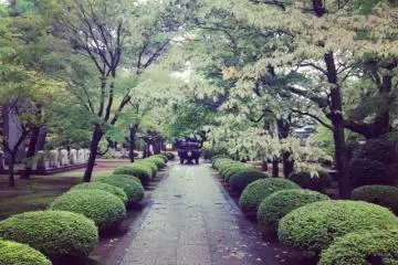 <p>The perfect entrance</p>