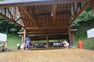 <p>Starting the sumo tournament</p>