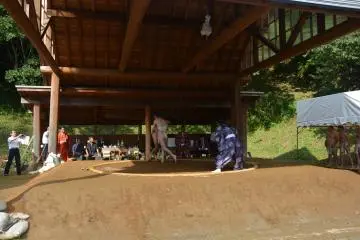 <p>Getting pushed out of the ring!</p>