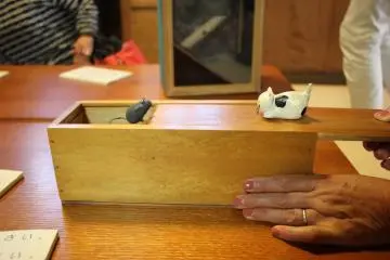 Cat and mouse