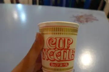 <p>The ice cream came in the appropriate packaging.</p>