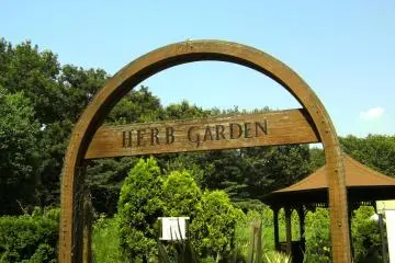 The herb garden