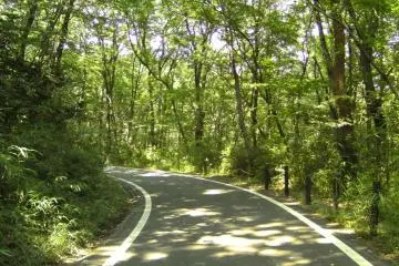 Where does the cycle path take you?  Only one way to find out!