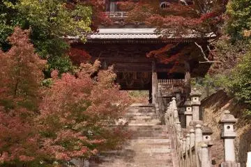 Fall Colors at Hashikura Temple