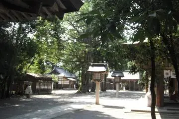 View of courtyard from the back gate