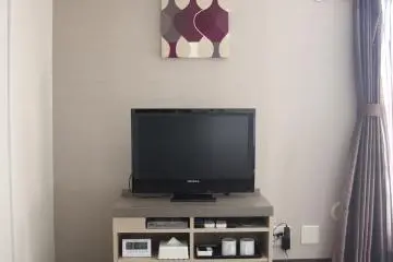 <p>TV dan meja dengan hairdryer, cermin, pamflet dengan informasi, teh dan yang lainnya. Tirai dan lukisan di dinding menambah perasaan nyaman.</p>