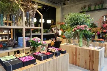 Nicolai Bergmann Nomu Cafe