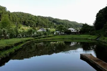 Reflections in the still pond