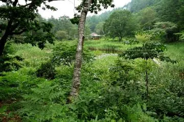 Une petite promenade vous conduira à ce cadre idyllique
