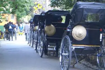 <p>Arishiyama Rickshaws</p>