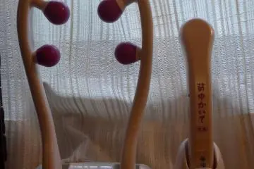 The room also has a neck massager and back scratcher.&nbsp;