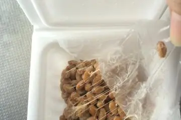 Natto: A Hate-Love Story
