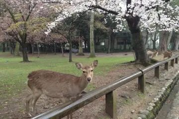 <p>Striking the perfect pose.&nbsp;</p>