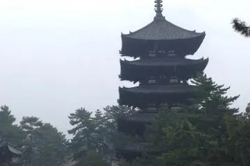 <p>The five-story pagoda in the distance, at Kōfuku-ji</p>