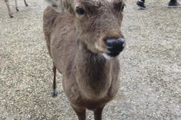 <p>Up close and personal.&nbsp;</p>