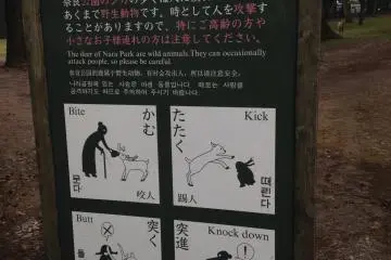 <p>Caution, they are wild animals.&nbsp;</p>