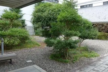 <p>There are a few cats that like to hang around in the hotel compound.&nbsp;</p>