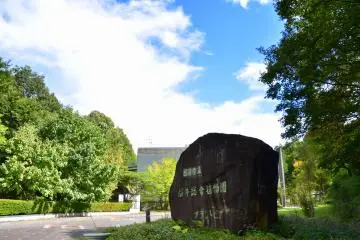 Gallery image