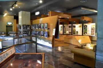 2층 디스플레이